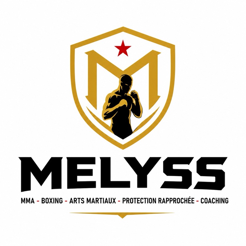 Exemple logo Melyss MMA